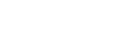 Dummy Air Ticket